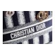 Dior Medium Blue D-Stripes Embroidery Lady D-Lite Bag M0565