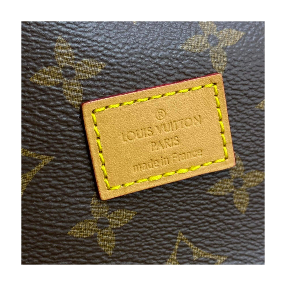 Louis Vuitton Monogram Canvas Saumur MM M42256