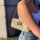 Louis Vuitton Damier Azur Canvas Eva Clutch N55214