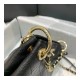 Chanel Grained Calfskin Small Hobo Bag AS1461