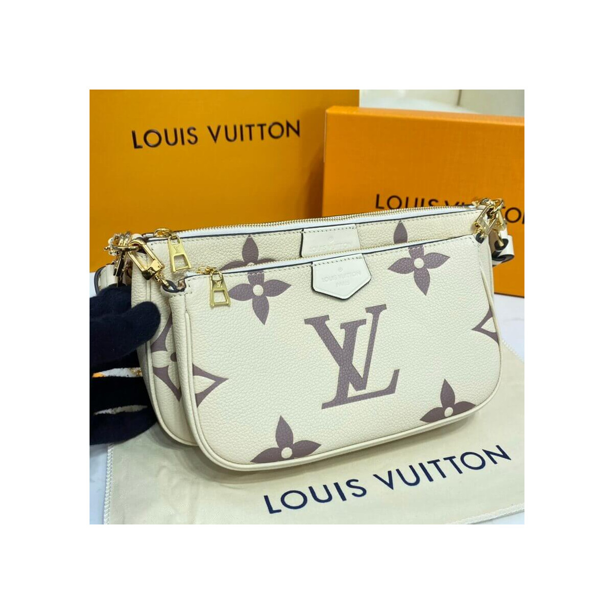 Louis Vuitton Bicolor Multi Pochette Accessoires M45777