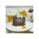 Louis Vuitton Damier Ebene Neverfull PM N41359