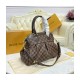 Louis Vuitton Damier Ebene Trevi PM N51197