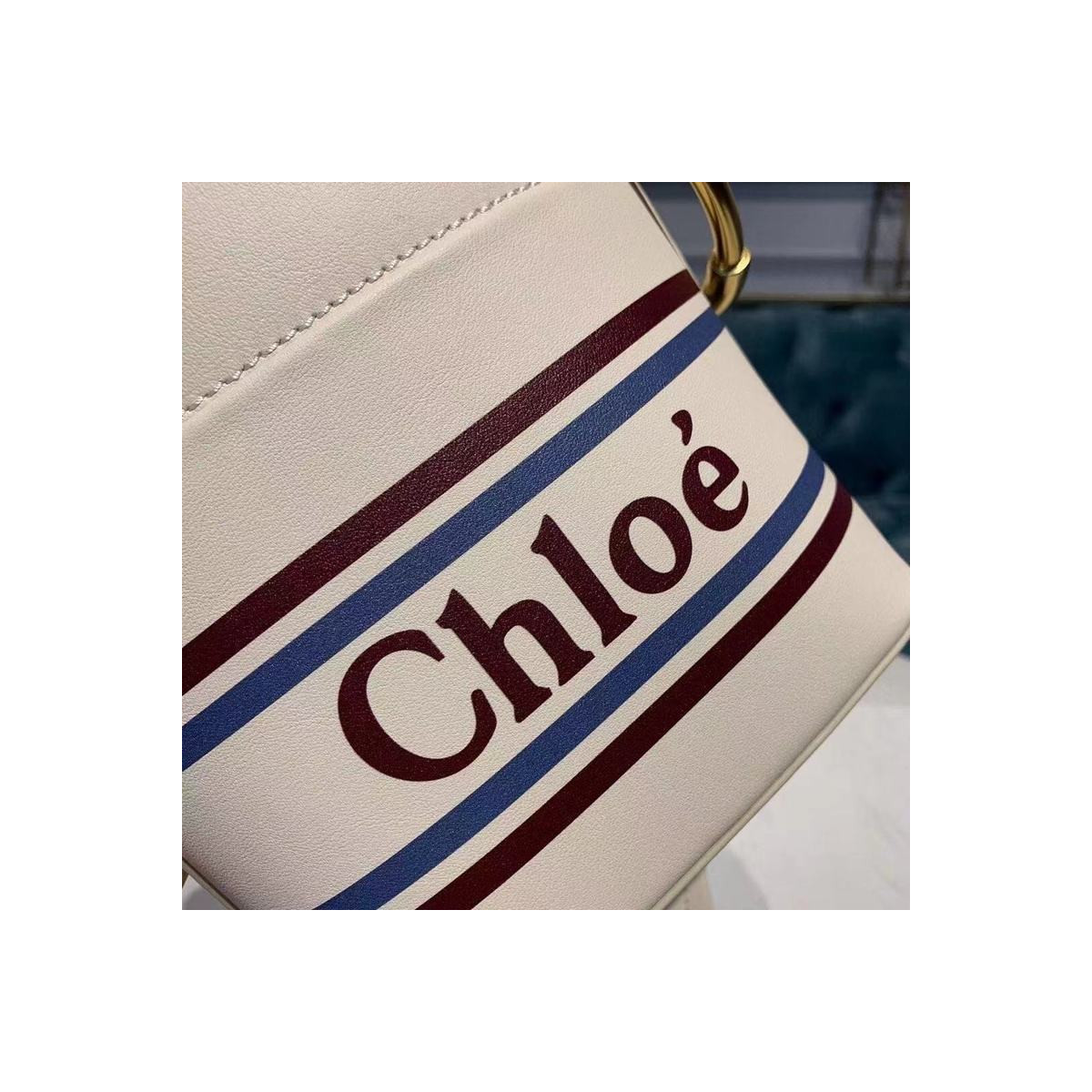 Chloe Roy Mini Smooth Leather Bucket Bag 3S508