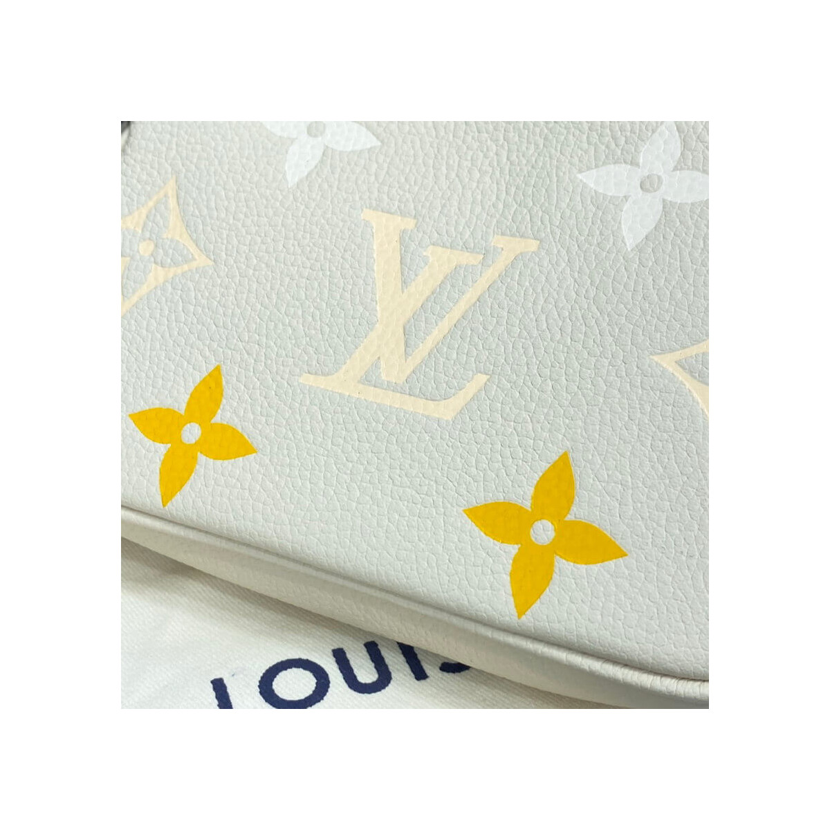 Louis Vuitton Mini Pochette Accessoires M80501