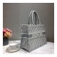 Christian Dior Small Book Tote Oblique M1296