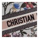 Christian Dior Small Book Tote Multicolor Rosa Mutabilis Embroidery M1296