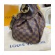 Louis Vuitton Damier Trevi PM Shoulder Bag N51997