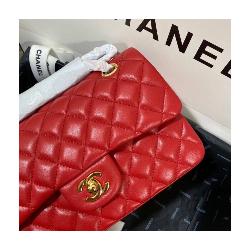 Chanel Small Classic Double Flap Bag A01113 in Lambskin