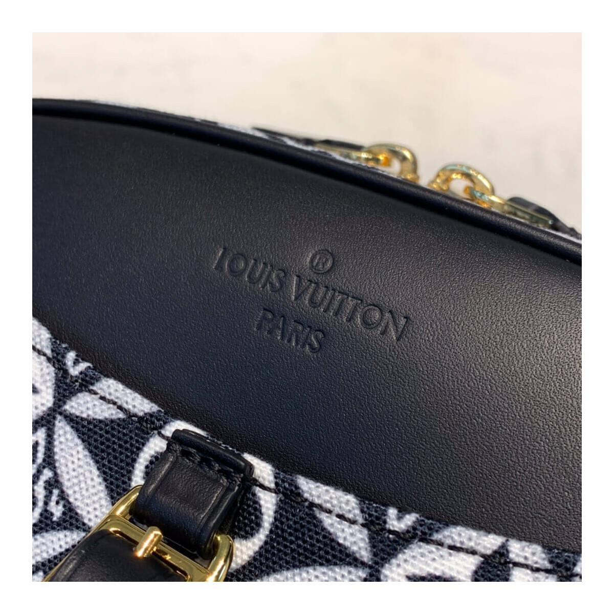 Louis Vuitton Denim Camera Bag M45528