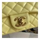 Chanel Resin Flap Bag AS2380