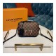 Louis Vuitton Damier Ebene Canvas Santa Monica N40178