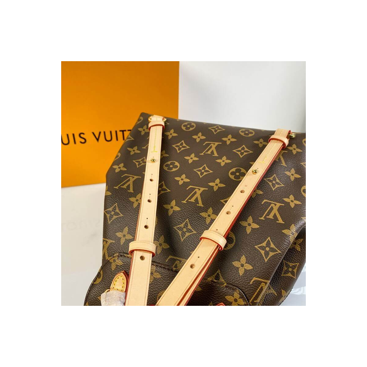 Louis Vuitton Montsouris PM Backpack M45501 M45515