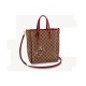 Louis Vuitton Damier Belmont MM N60293 N60294