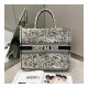 Dior Book Tote Latte Multicolor Dior Zodiac Embroidery M1286