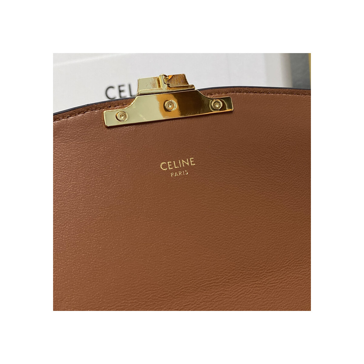 Celie Medium Triomphe Bag in Triomphe Textile and Calfskin 191242 Brown/Tan