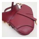 Christian Dior Smooth Calfskin Mini Saddle Bag M0447