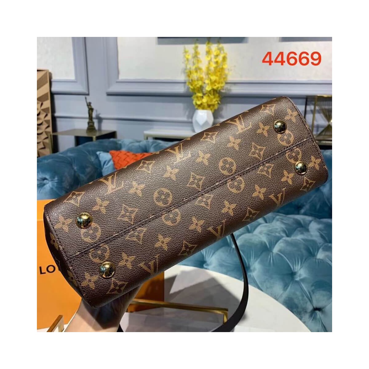 Louis Vuitton Monogram Canvas Cluny MM M44669