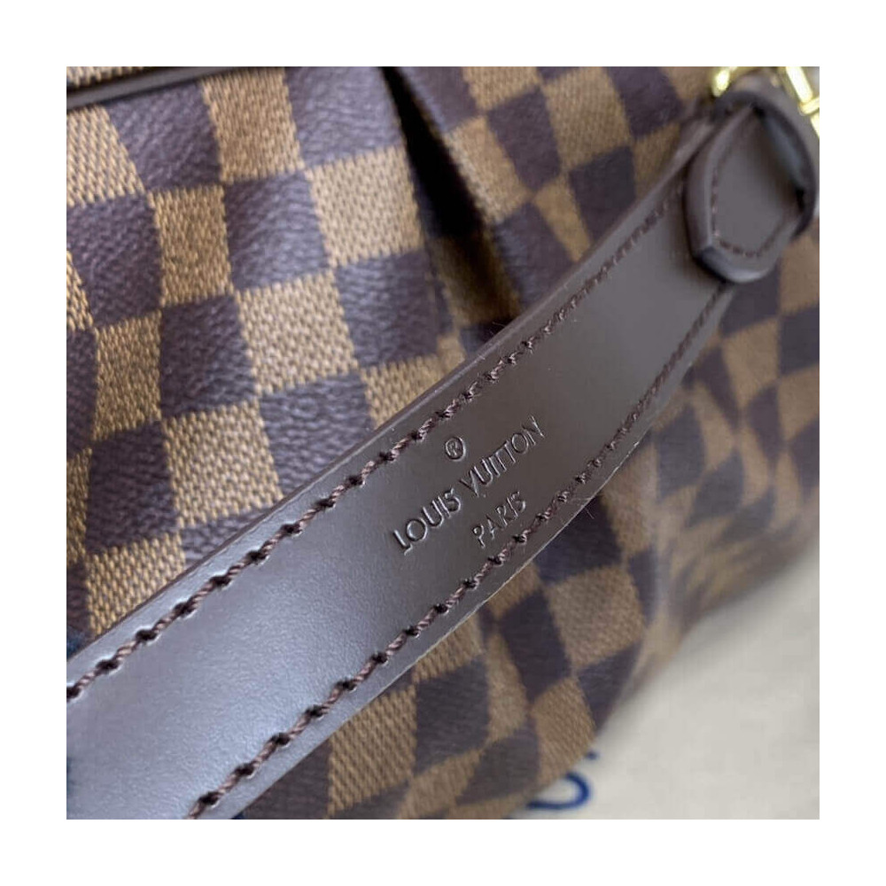 Louis Vuitton Damier Ebene Trevi PM N51197