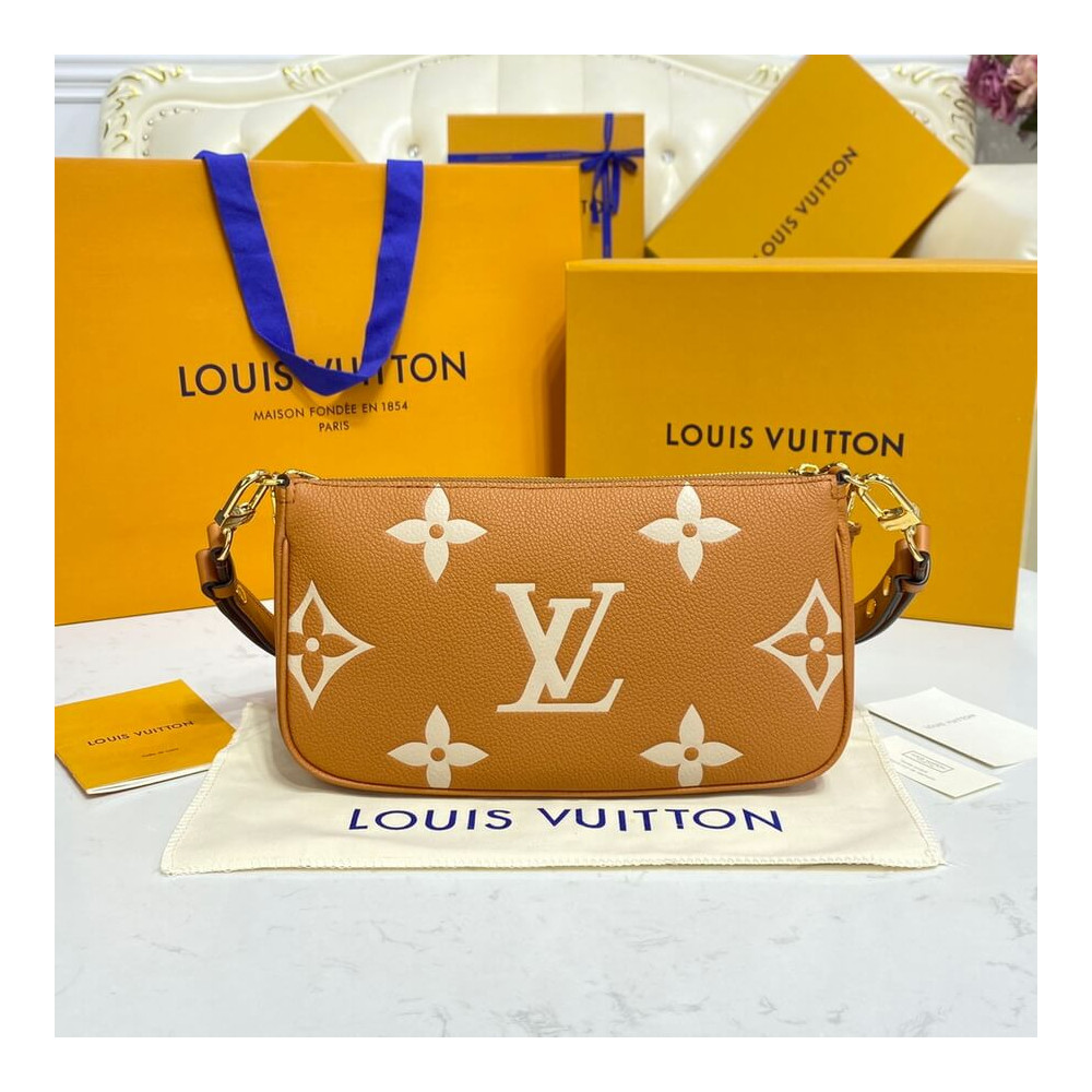 Louis Vuitton Bicolor Multi Pochette Accessoires M45777