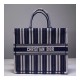 Christian Dior Book Tote Bag M1286