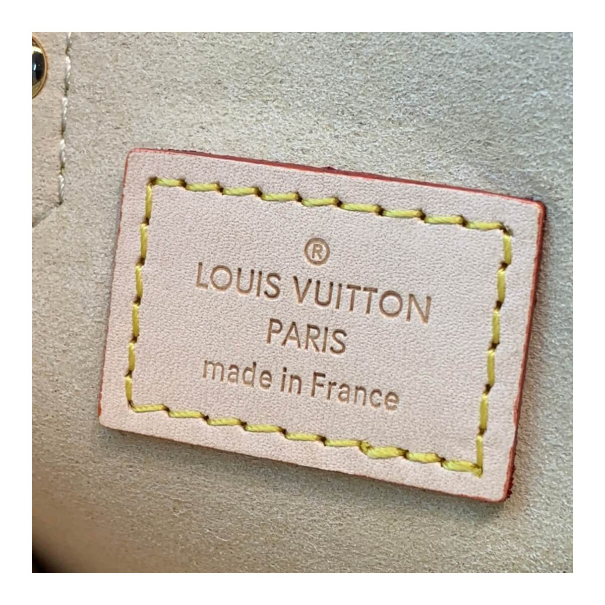 Louis Vuitton Monogram Canvas Mini Onthego M69846