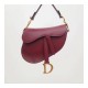 Christian Dior Smooth Calfskin Mini Saddle Bag M0447