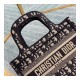 Christian Dior Oblique Mini Book Tote M1271