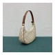 Celine Ava Bag In Triomphe Canvas 193952 White