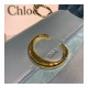 Chloe Small C Bag S199