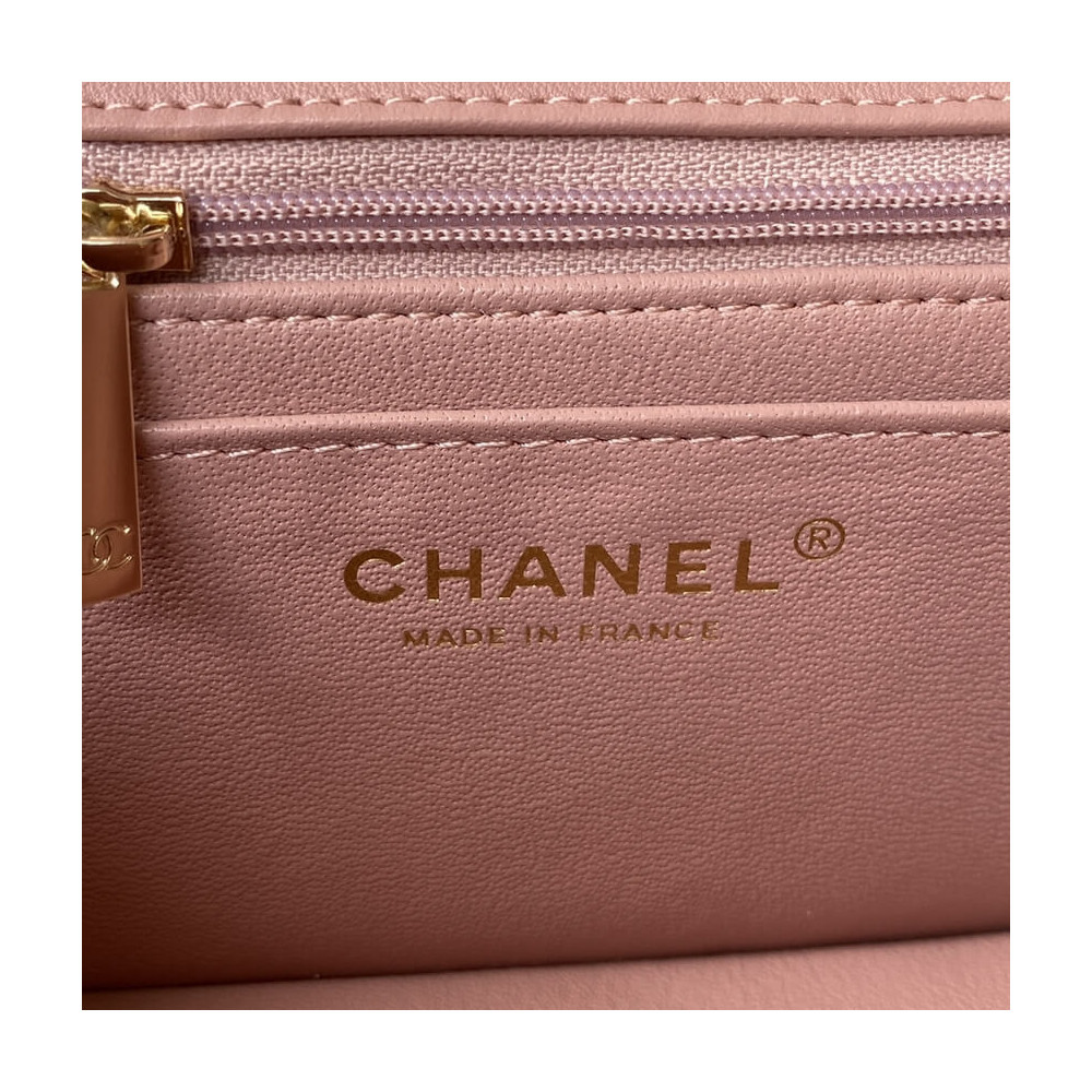 Chanel Mini Flap Bag With Top Handle AS2431 in Iridescent Lambskin