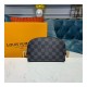 Louis Vuitton Damier Graphite Cosmetic Pouch M60024