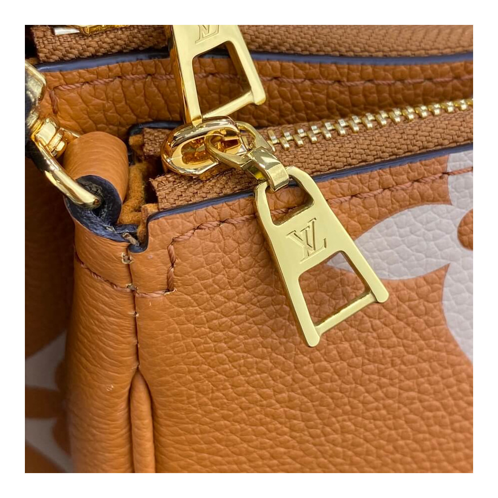 Louis Vuitton Bicolor Multi Pochette Accessoires M45777