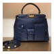 Fendi Peekaboo Iconic Medium Pocket Bag 8BN312