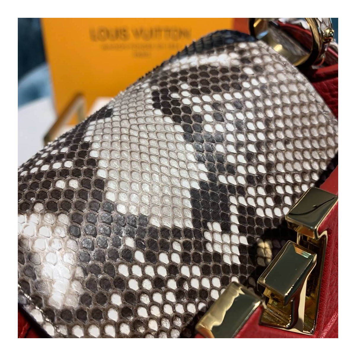 Louis Vuitton Taurillon And Python Leather Capucines Mini N97075