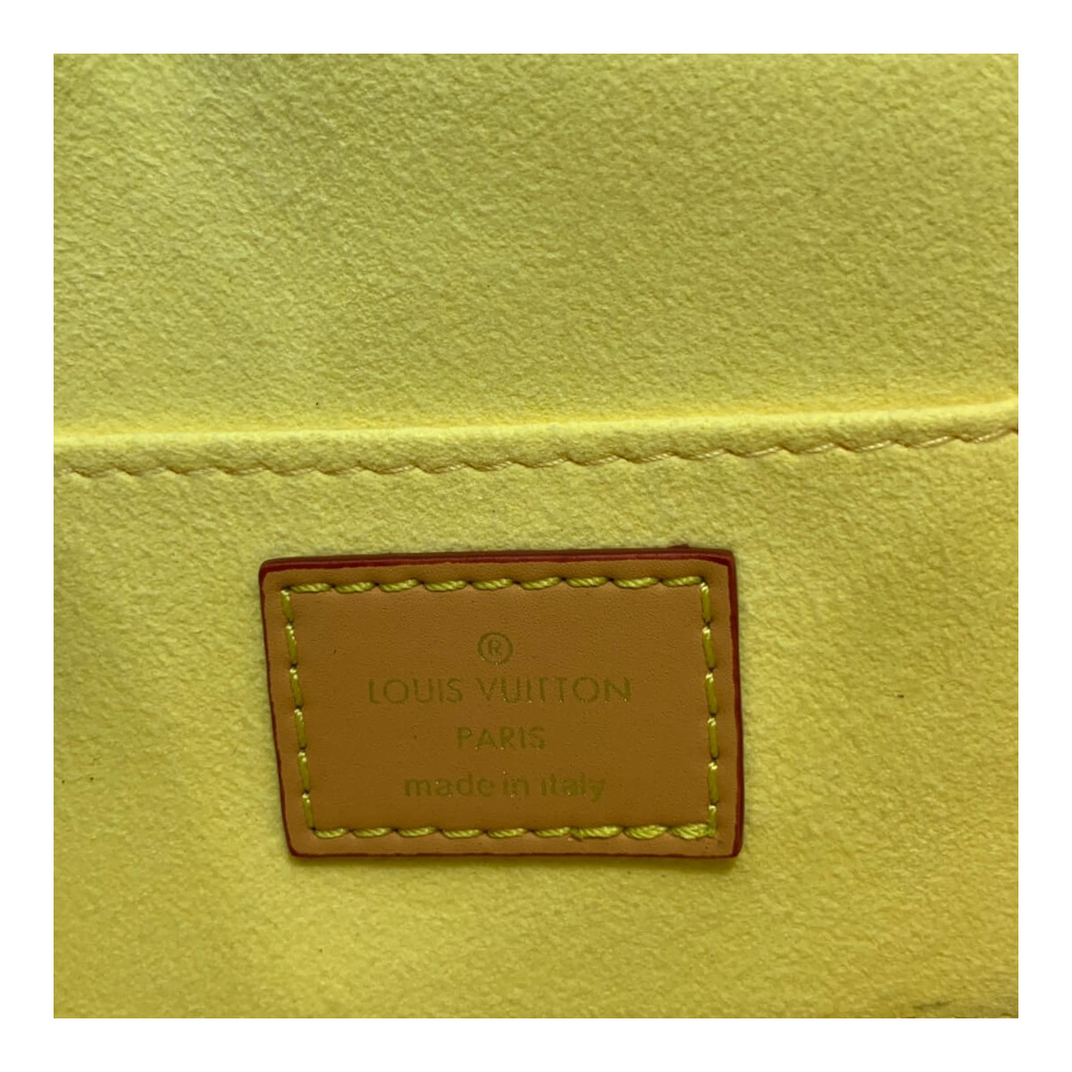 Louis Vuitton Printed Calf Leather Mini Dauphine M55454