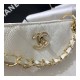 Chanel Grained Calfskin Small Hobo Bag AS1461