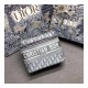 Christian Dior Travel Vanity Bag S5417