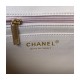 Chanel Mini Flap Bag With Top Handle AS2431 in Iridescent Lambskin