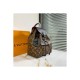 Louis Vuitton Montsouris PM Backpack M45501 M45515