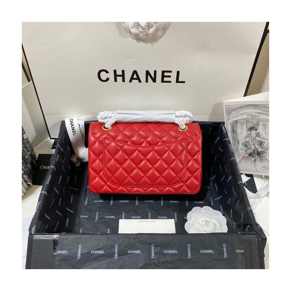 Chanel Small Classic Double Flap Bag A01113 in Lambskin