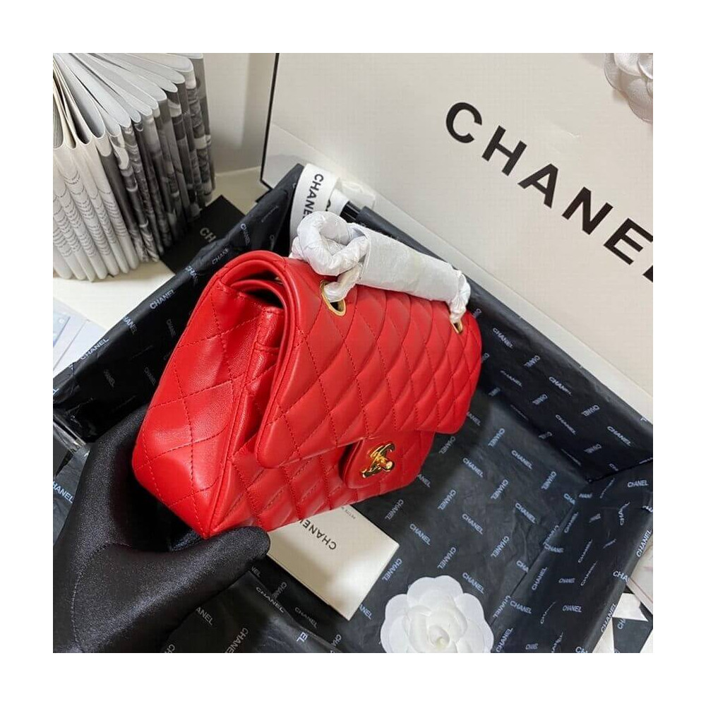 Chanel Small Classic Double Flap Bag A01113 in Lambskin