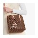 Louis Vuitton Damier Belmont PM N60297 N60348