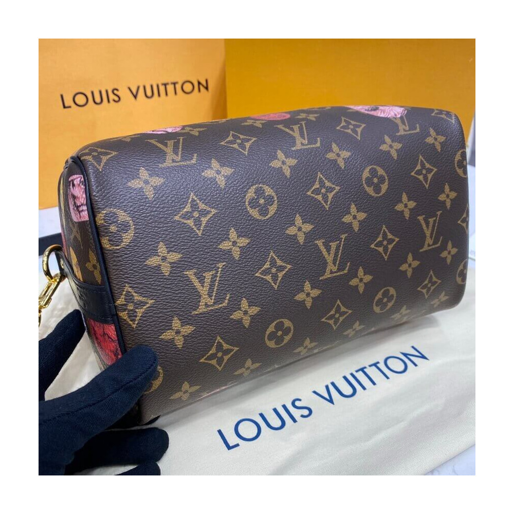 Louis Vuitton Monogram Cameo Printed Speedy Bandouliere 25 M45910