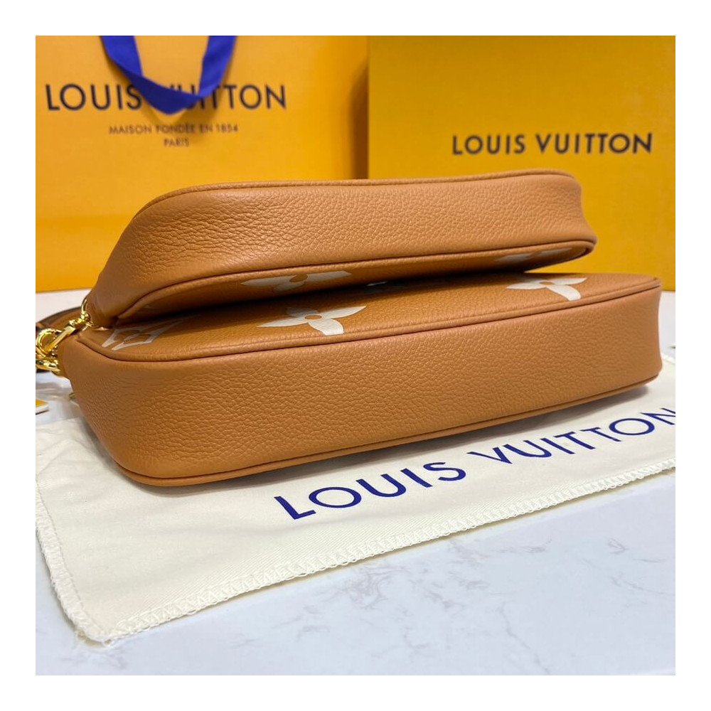 Louis Vuitton Bicolor Multi Pochette Accessoires M45777