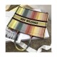 Dioraura Dior Book Tote Multicolor Stripe Embroidery M1286