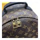 Louis Vuitton Monogram Canvas Palm Springs Backpack MM M41561