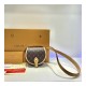 Louis Vuitton Monogram Canvas Tambourin Handbag M44860