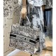 Dior Book Tote Latte Multicolor Dior Zodiac Embroidery M1286