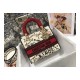 Dior Medium Lady D-Lite Dioramour Bag Latte Multicolor Dioramour Graffiti Embroidery M0565